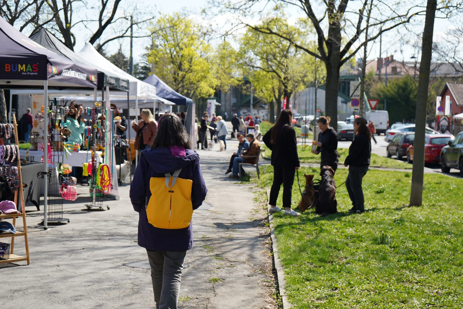 Hundemarkt Alszeile