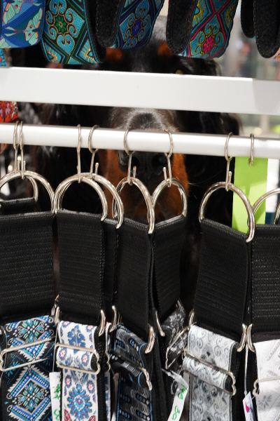 Hundemarkt Welthundetag im Q19 Einkaufszentrum – Foto 256